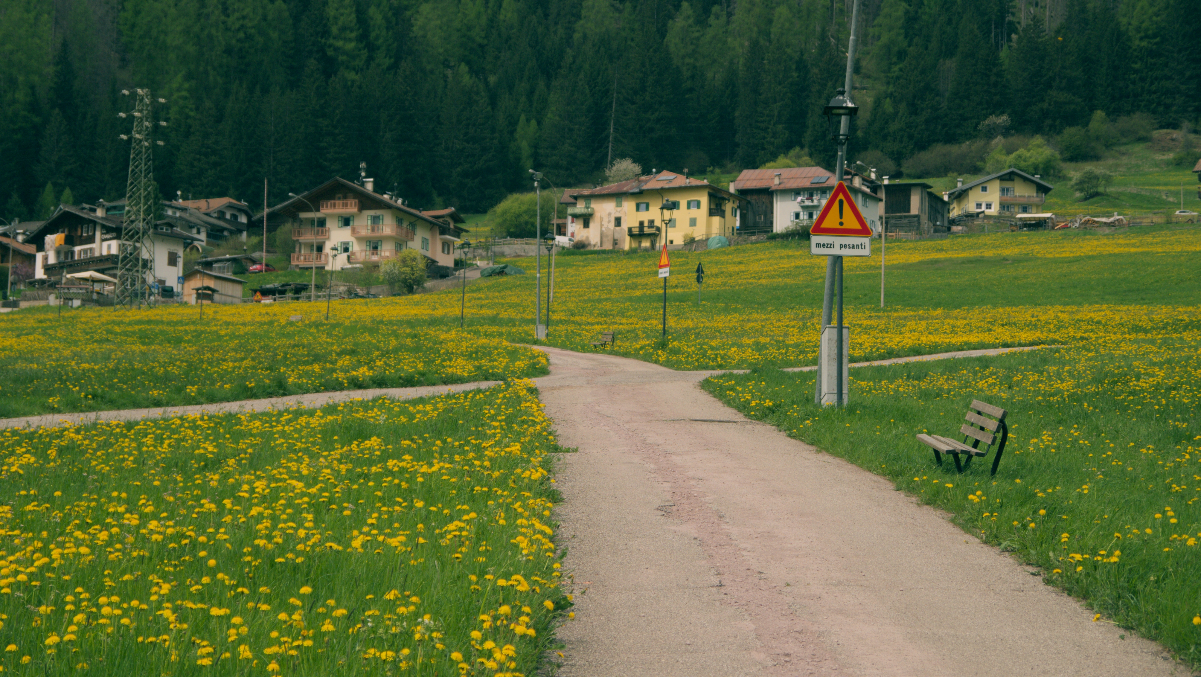 moena-crossing.jpeg