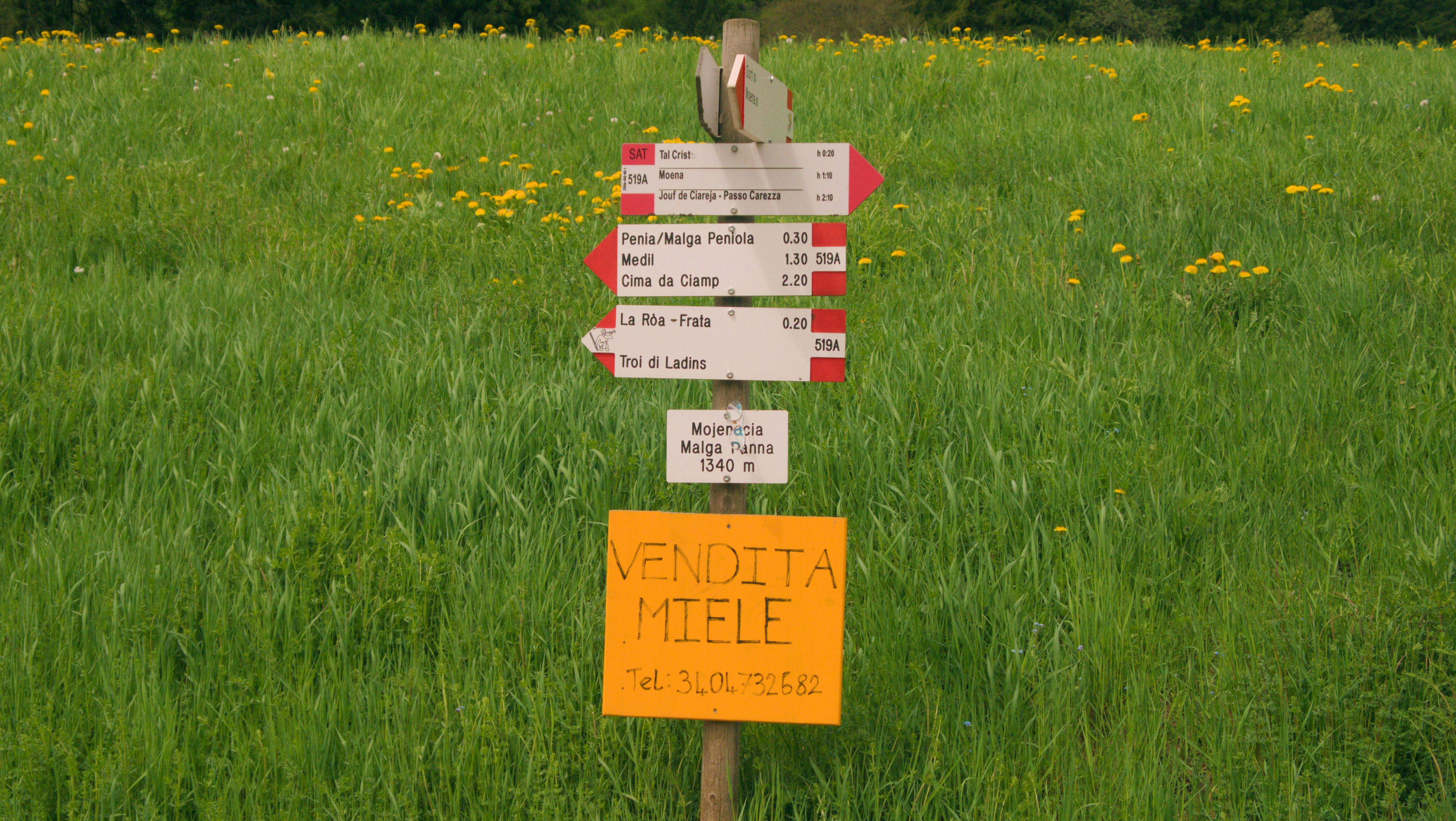 moena-sign2.jpeg