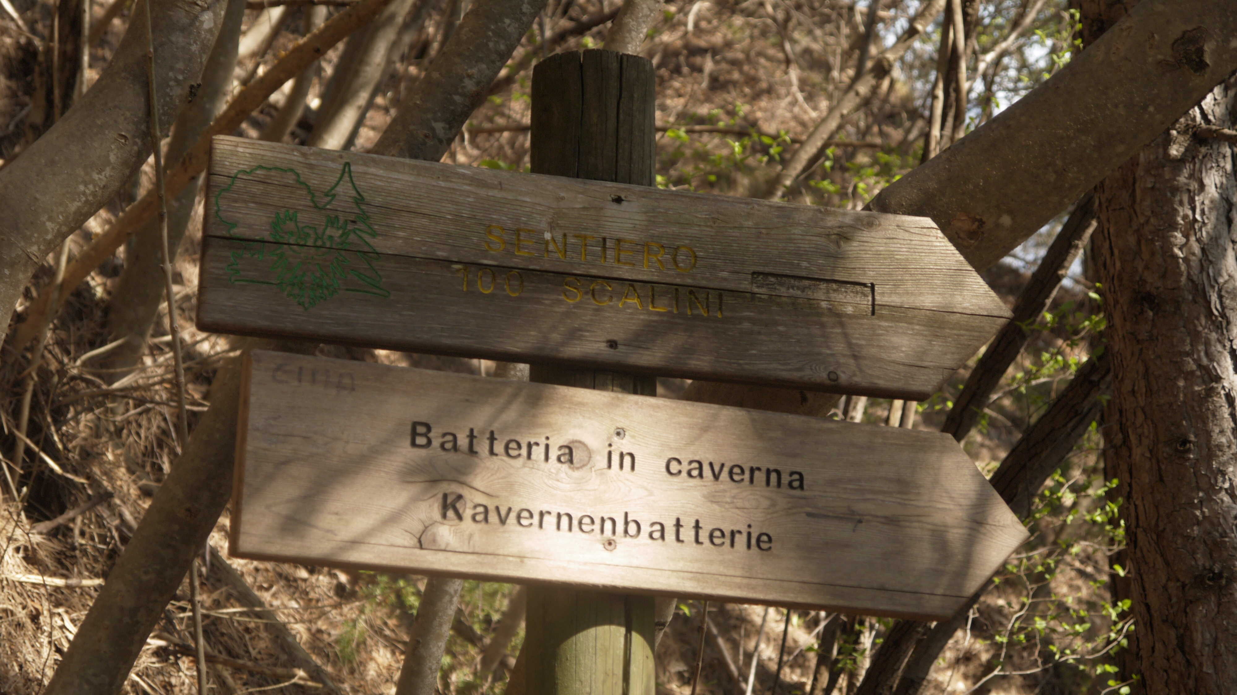 mount-celva-sign-100-steps.JPG