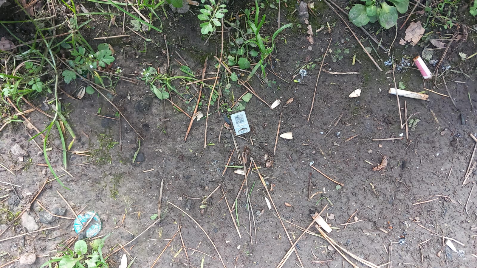 san-marco-garden-cigarettes.jpeg
