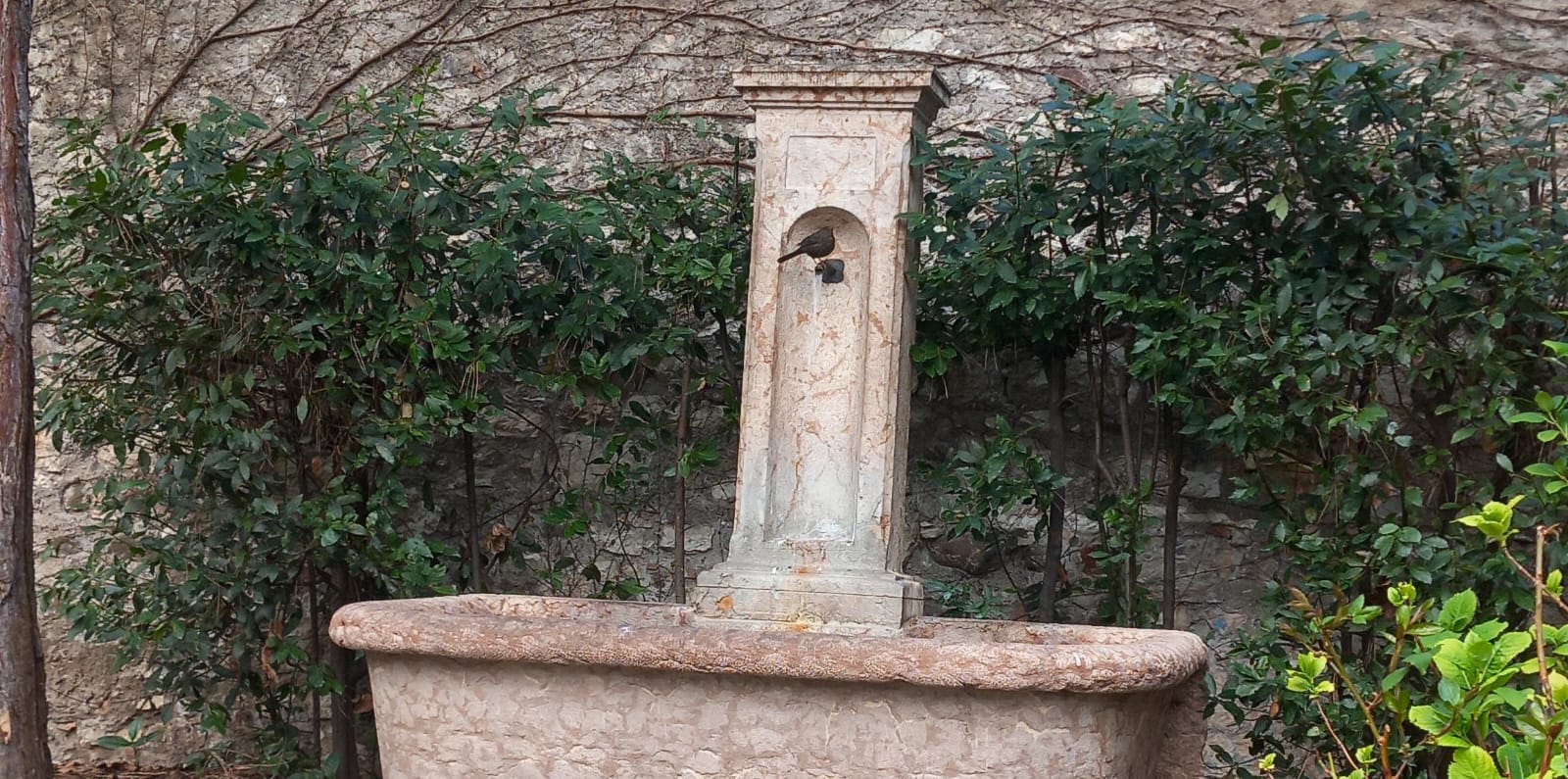san-marco-garden-fountain.jpeg