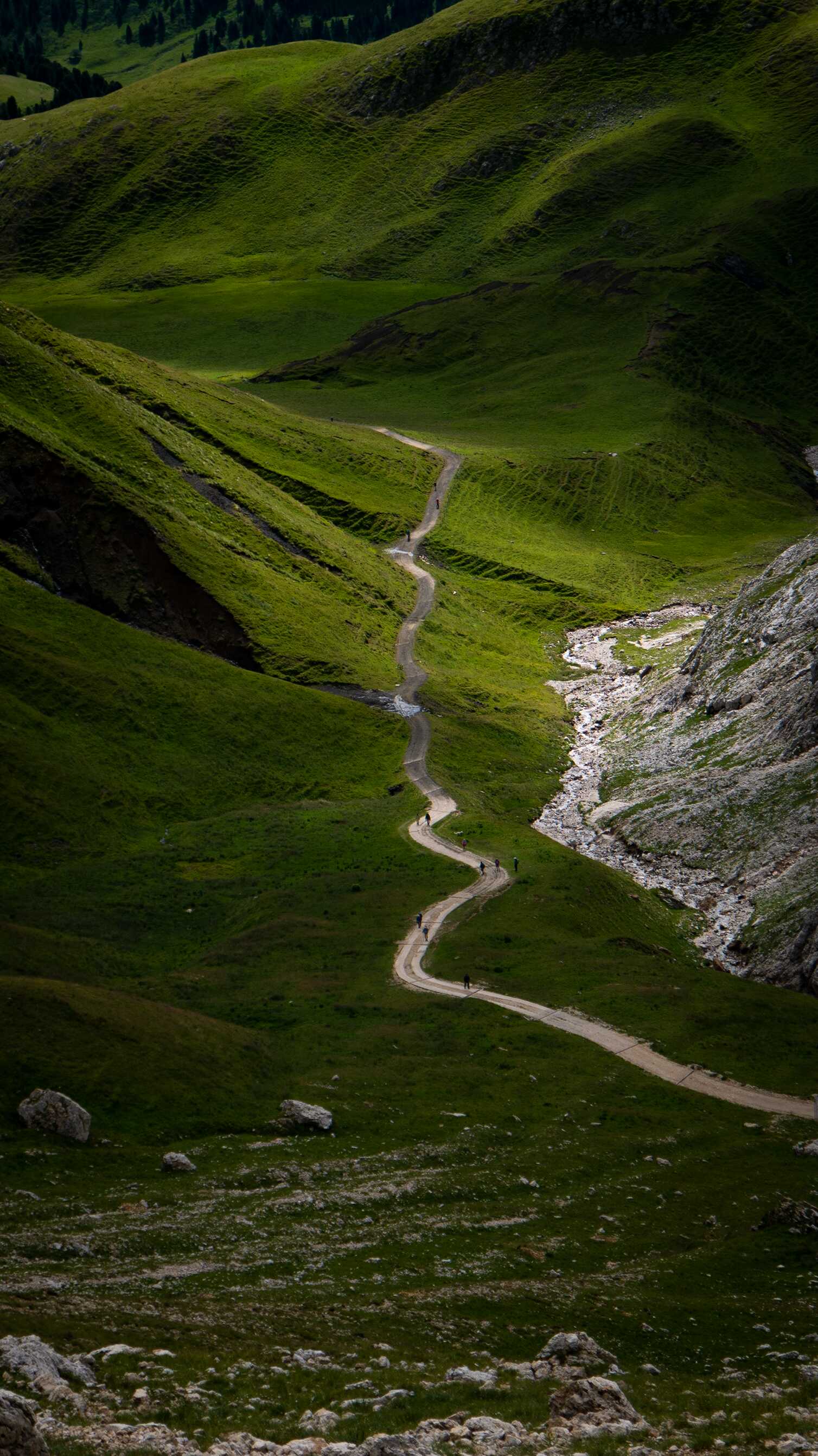 alpe-susi-valley.jpeg
