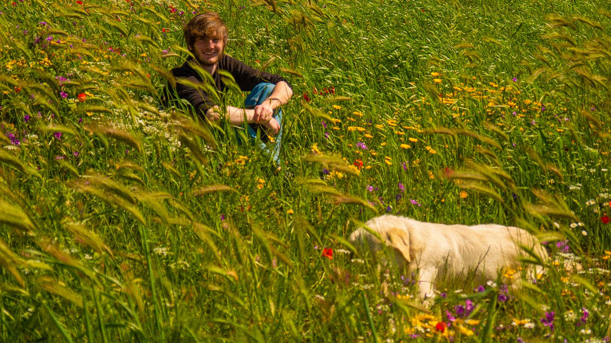 sicily-grass.jpeg